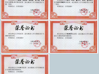 永利官网学生在第二届安徽省大学生物流设计大赛中取得佳绩