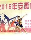 永利官网健美操队在2016年安徽省大学生健美操比赛中喜获佳绩