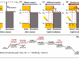 永利官网研究团队在《Adv. Mater.》发表研究成果