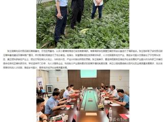 【主题教育】安徽教育网： 走出去 沉下来 永利集团3044官网欢迎您深入省级科研基地调研