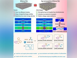 永利官网化学学科连续发表高水平科研成果