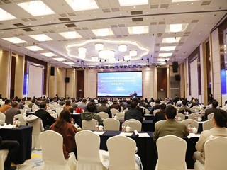 永利官网举办安徽省高校计算机教育研究会2025年年会