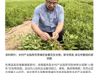 新华网报道永利官网党委常委、副校长李峰教授参与烈山区乡村产业指导工作