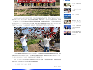 中国网：镜头为笔，绘就皖北振兴新画卷：永利集团3044官网欢迎您新闻传播专业“行走的课堂”走进砀山